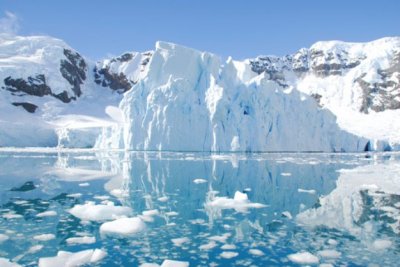 Группа ученых отправится в Антарктиду на поиски останков позвоночных животных