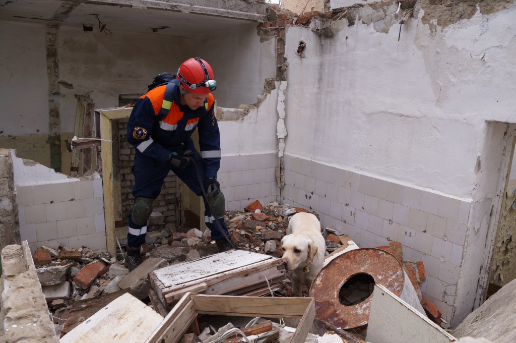 Спасательная операция в амурской области последние новости. Собаки спасатели МЧС. Поисково-спасательная служба собак. Собака спасатель на завалах. Спасатели ищут пострадавших.