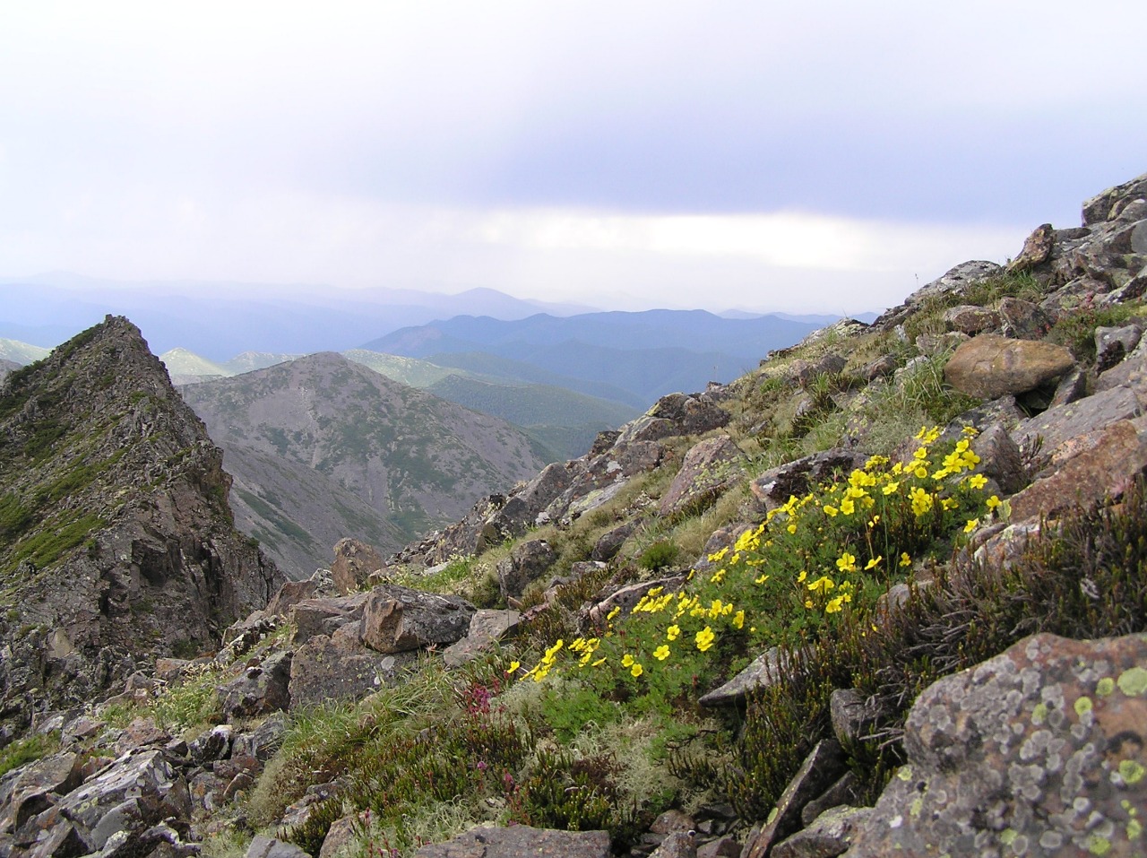 Горы амурской области