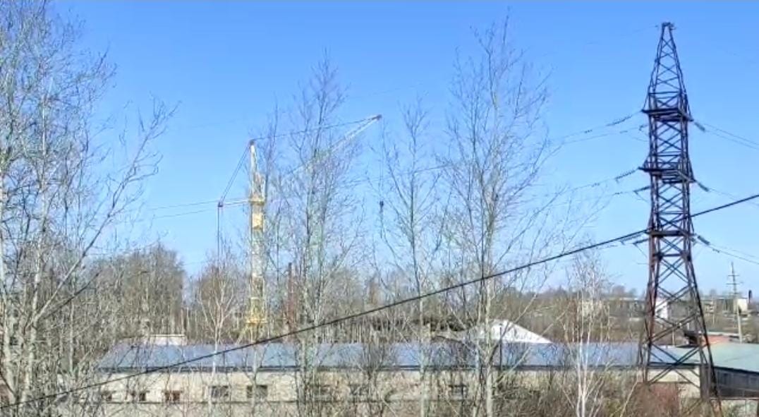 Калина белогорск амурская область