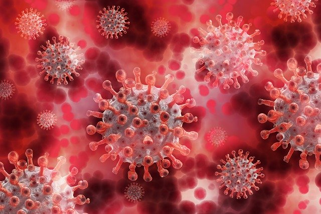 В Амурской области за сутки выявлены 15 новых случаев коронавируса