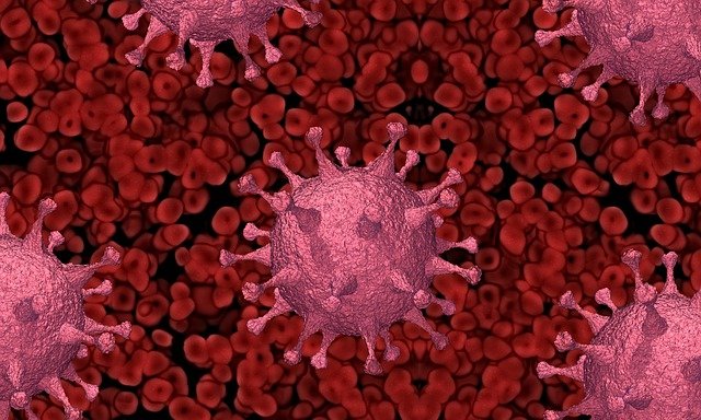 В Амурской области за сутки зарегистрированы 16 новых случаев коронавируса