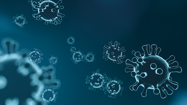 В Амурской области за сутки зафиксированы 15 новых случаев коронавируса