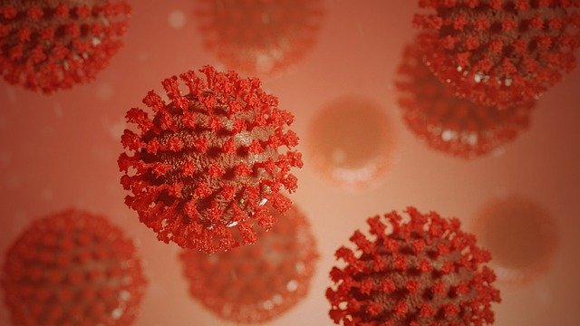 В Амурской области за сутки подтверждены 13 новых случаев коронавируса