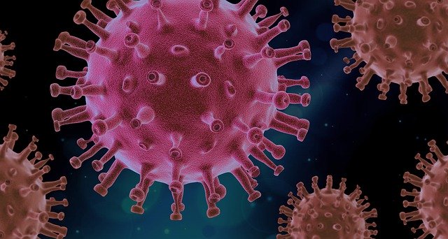 В Амурской области за сутки зарегистрированы 17 новых случаев коронавируса