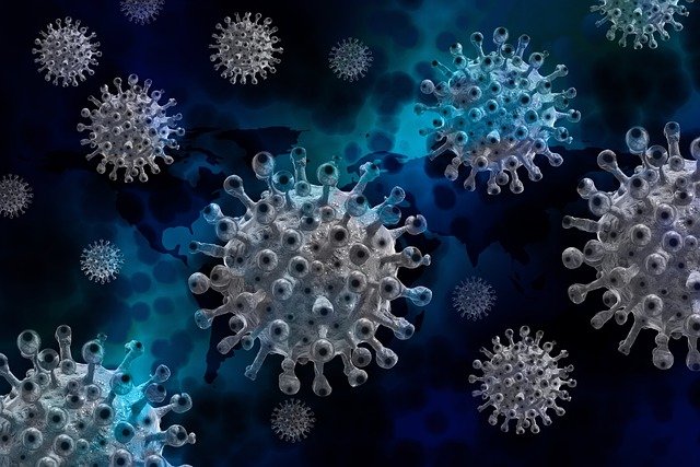 В Амурской области за сутки подтверждены 28 новых случаев коронавируса