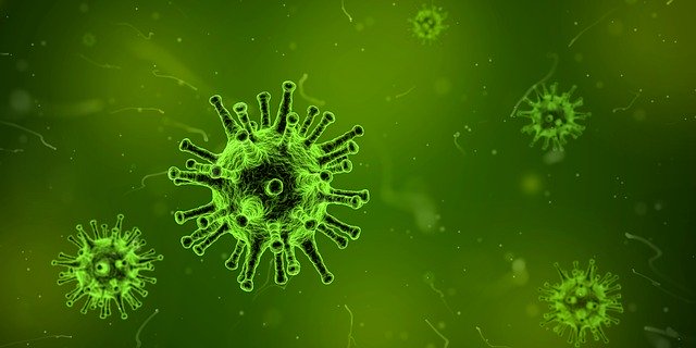 В Амурской области за сутки зарегистрированы 82 новых случая коронавируса
