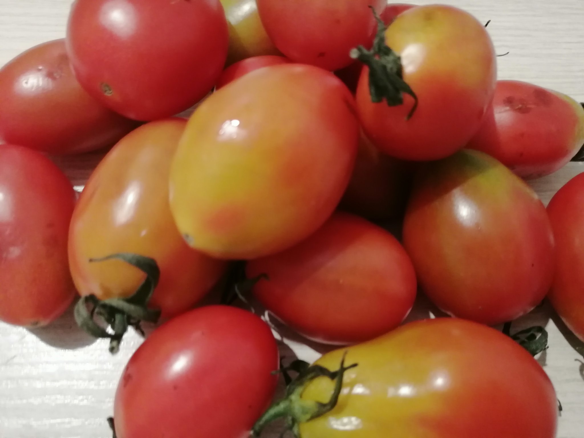Зараженные вирусом помидоры пытались ввезти в Амурскую область из Китая