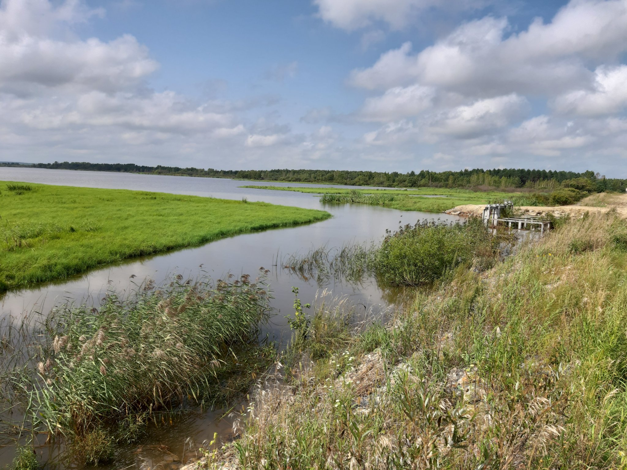 Благоустройство озера в Благовещенске станет самым ярким проектом в Приамурье