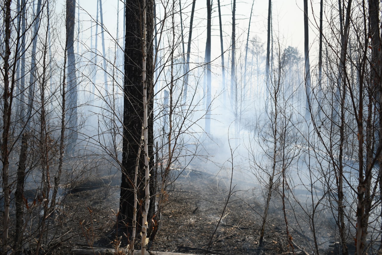К пожару привело желание детей согреться от костра на природе в Амурской области