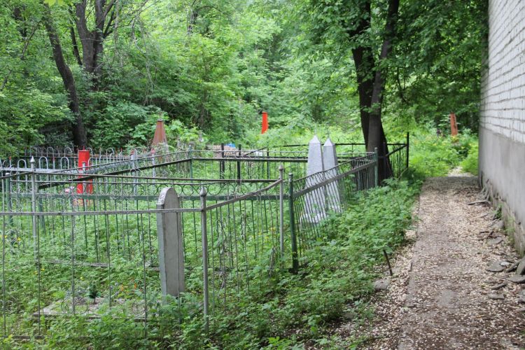 Идею с фонтанами и велодорожками на кладбище раскритиковал мэр Благовещенска