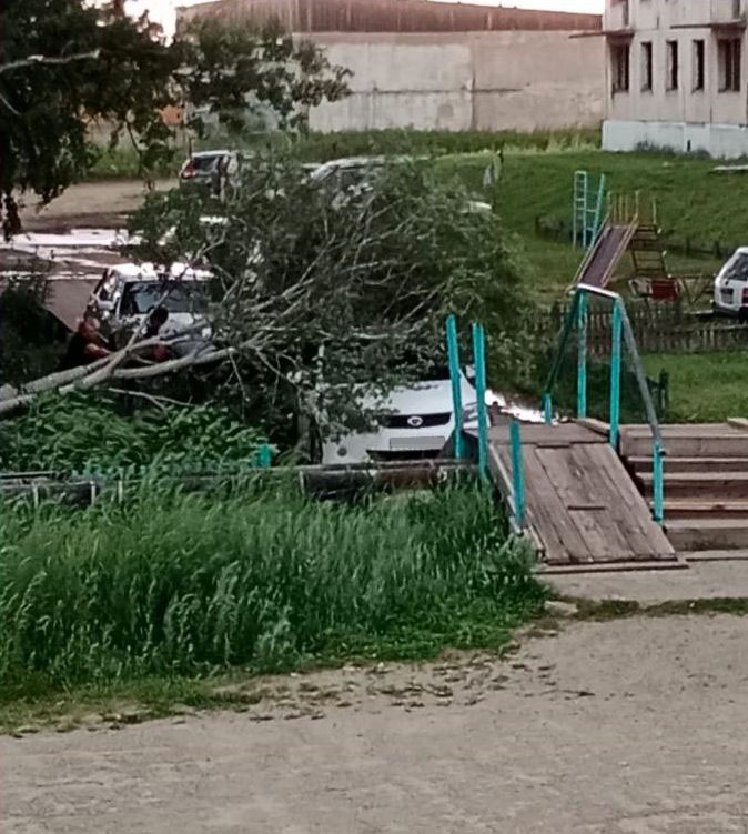 Дерево рухнуло на автомобиль в Шимановске под натиском ветра и града