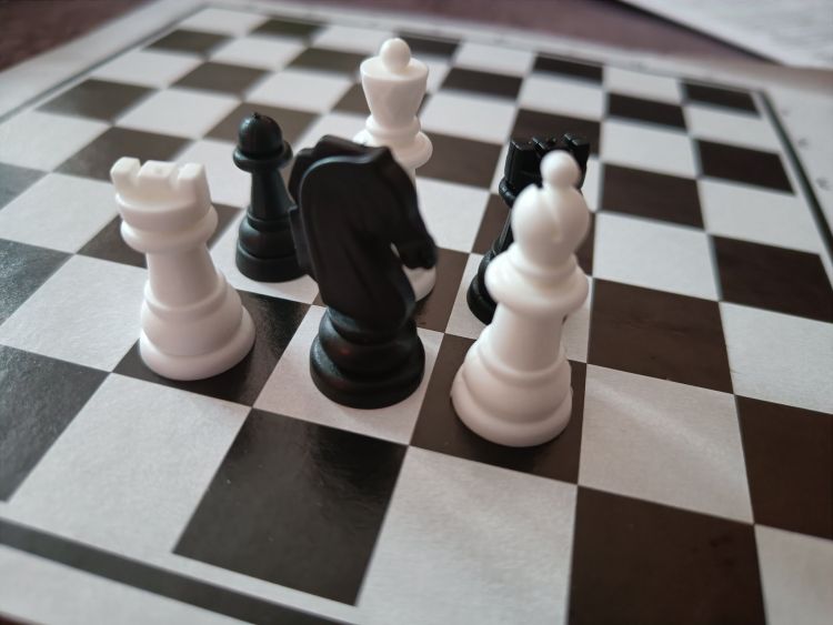 Чемпион России проведет мастер-класс по шахматам для амурчан