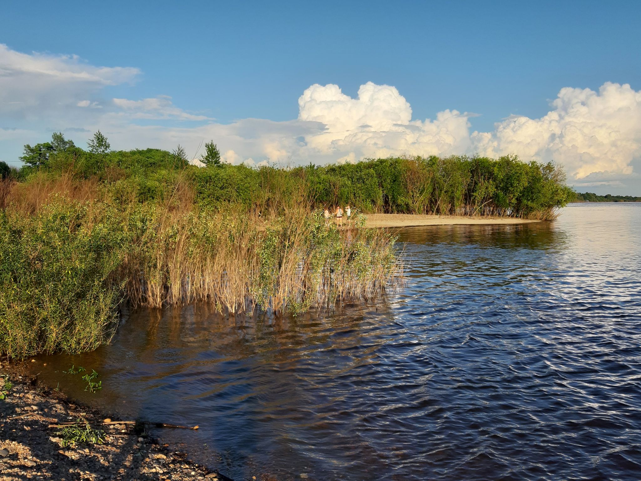 Район с самыми чистыми водоемами назвали в Амурской области