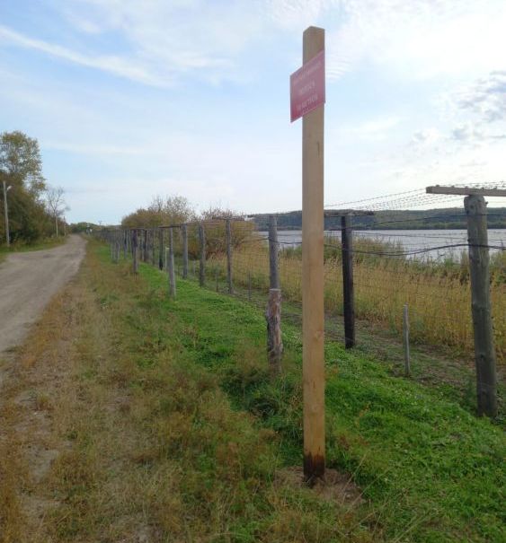 Карантинную зону установили вдоль границы в Амурской области | ТЕЛЕПОРТ.РФ