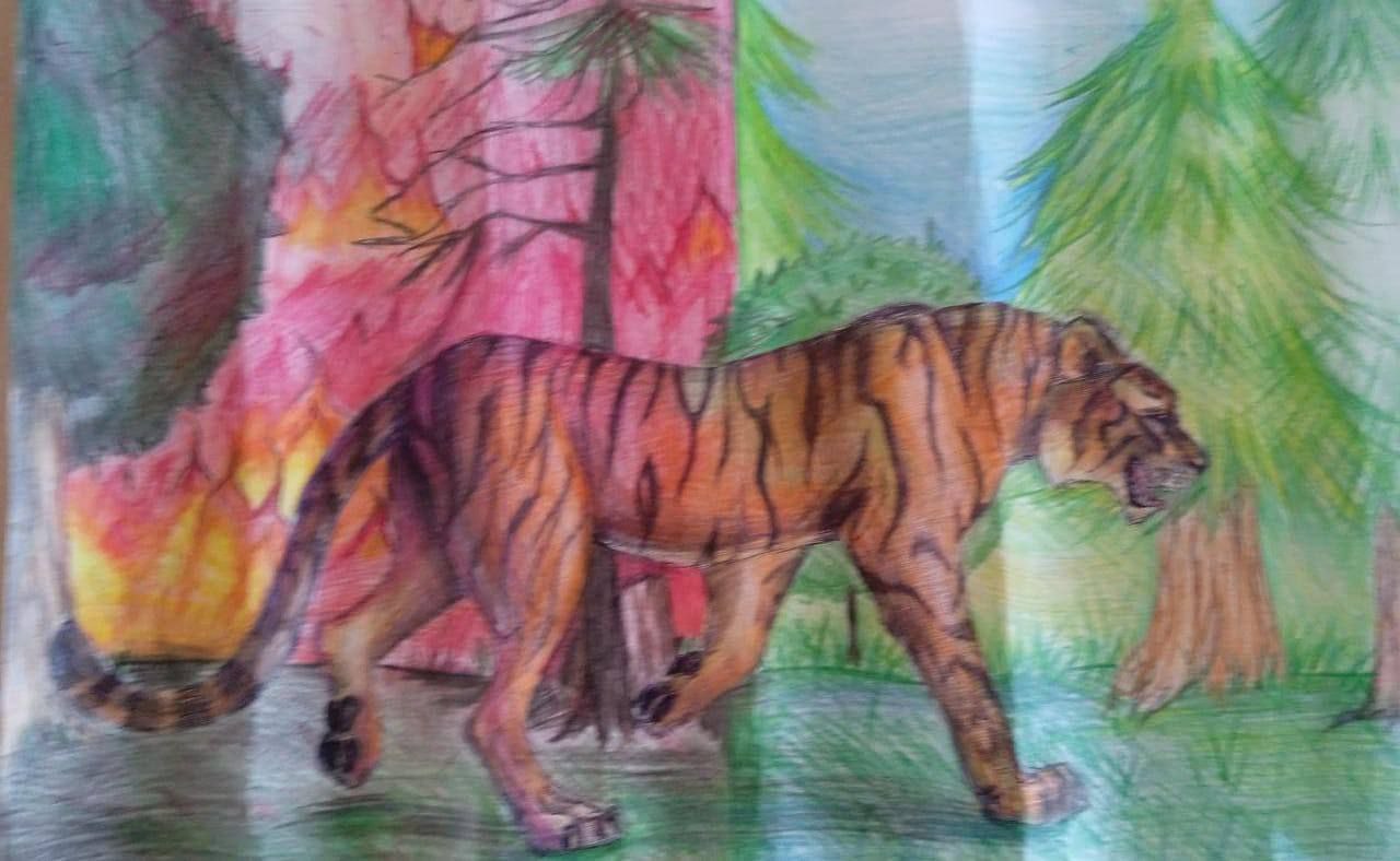 Тигр стал пожарным на рисунках детей из Амурской области
