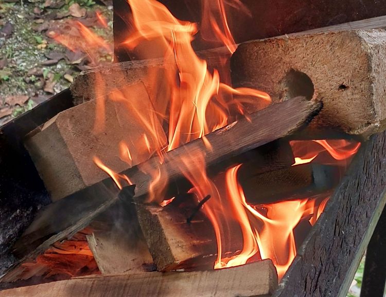 К весеннему пожароопасному сезону в Приамурье очистили почти 11 тыс. опасных участков