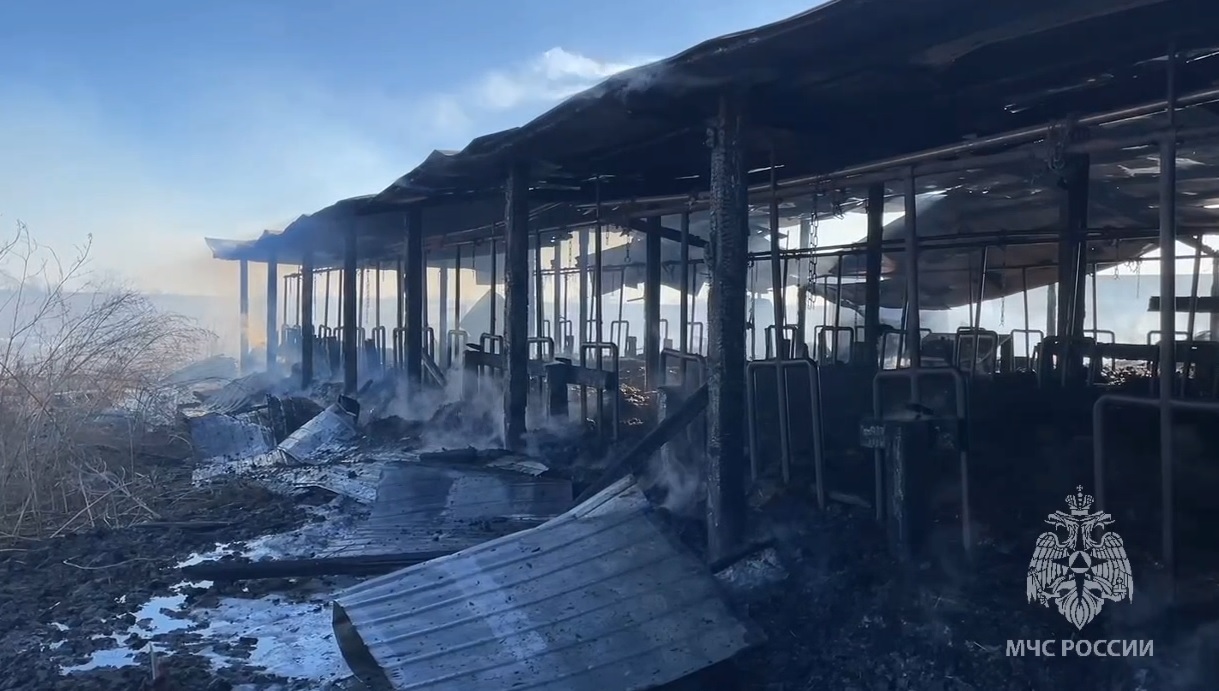 Коровник сгорел в районе Владимирских озер Благовещенского округа