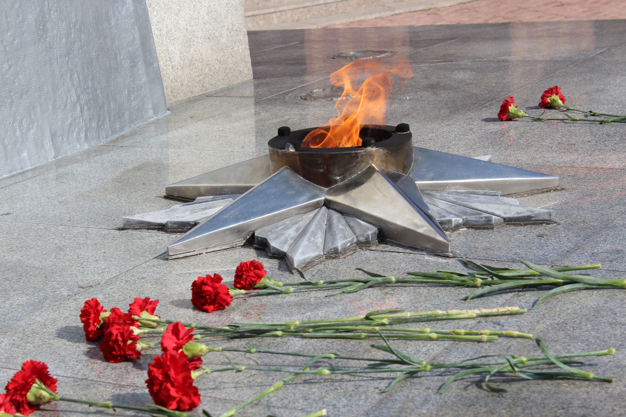 Памятник воинам, погибшим в СВО, может появиться в Амурской области