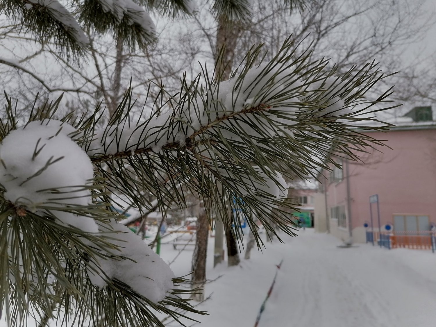 Снежный декабрь пообещали жителям 26 регионов России