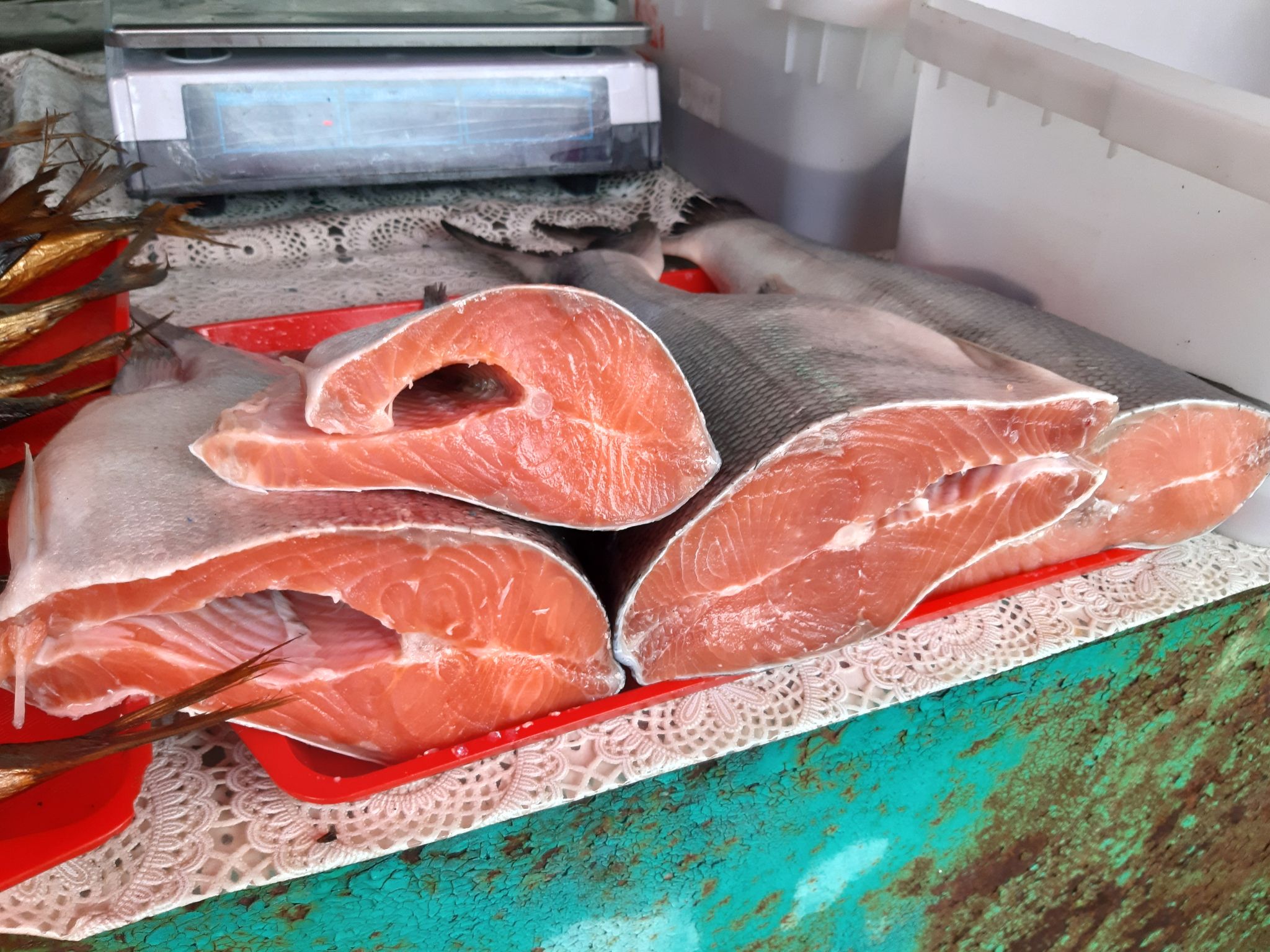 Рыбы бизнесмен. Рыба осетр. Рыбы бизнесмен. Акула бизнесмен. Александр емцев осетр.