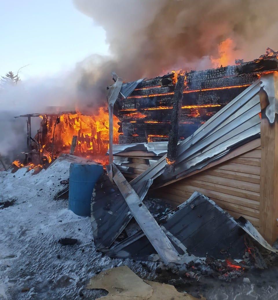Куры и утки погибли в огне в селе Тамбовского округа