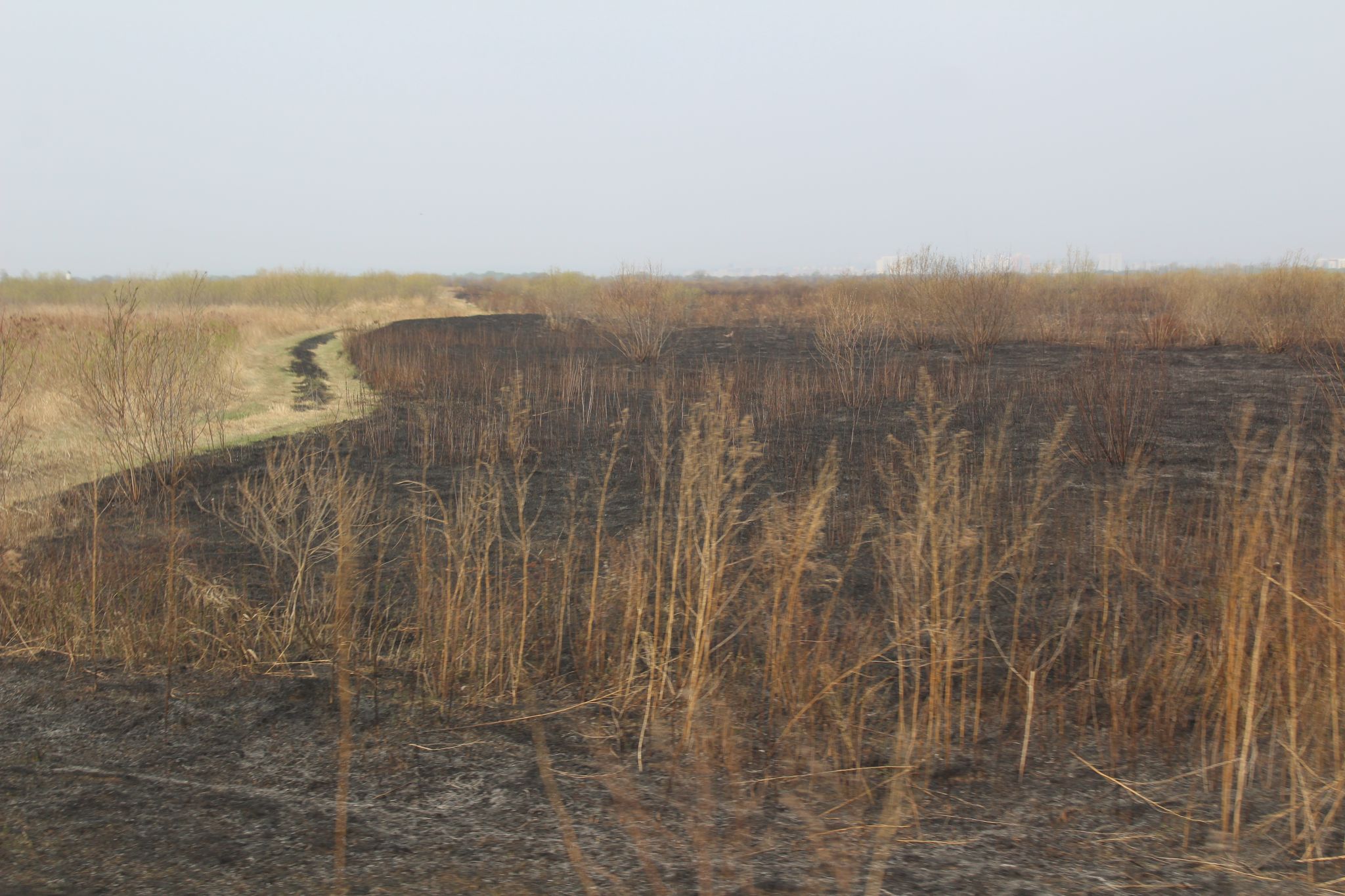 Природные пожары бушуют в Приморье