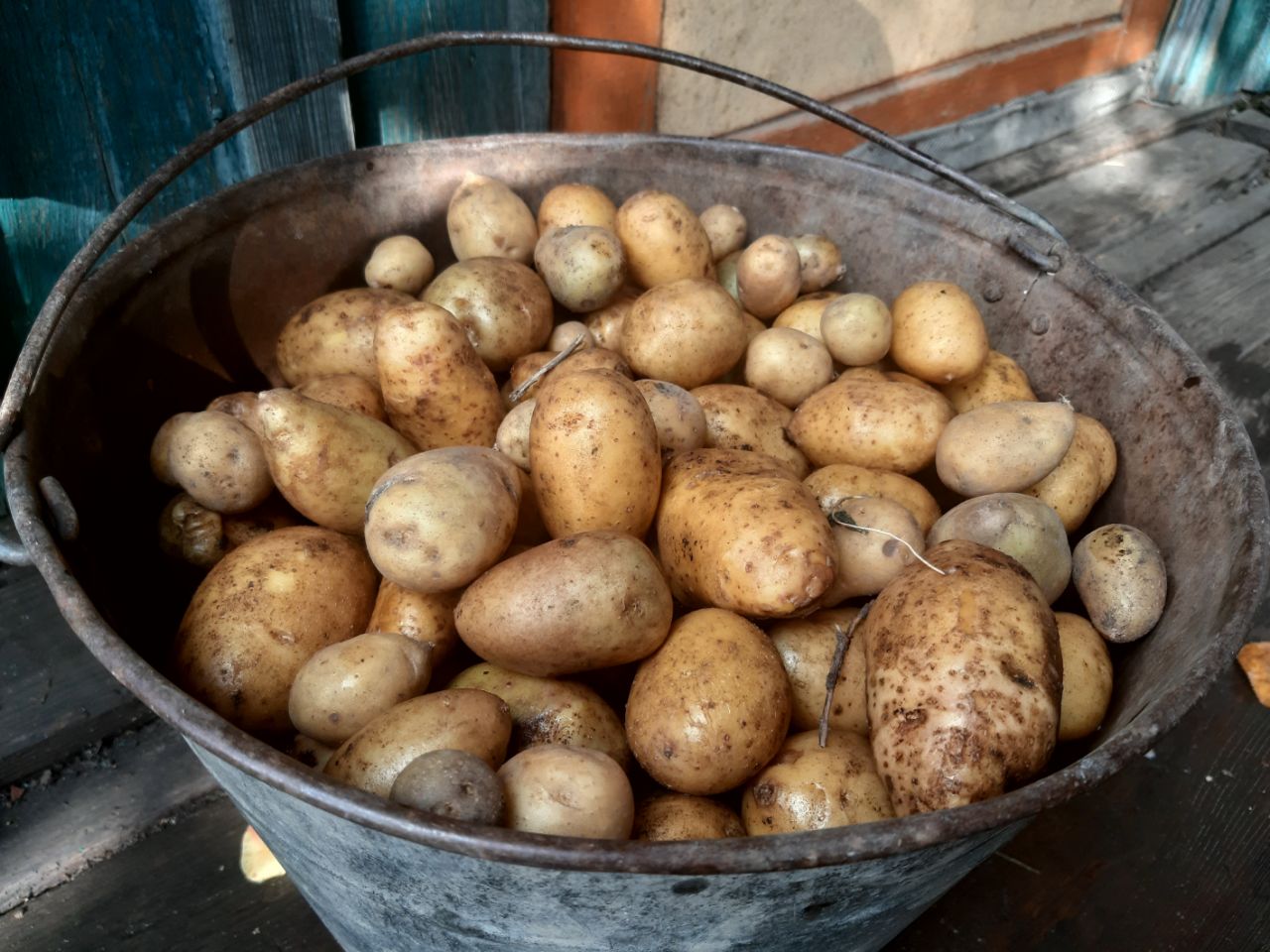 Картофель из Китая впервые в этом году завезли в Амурскую область
