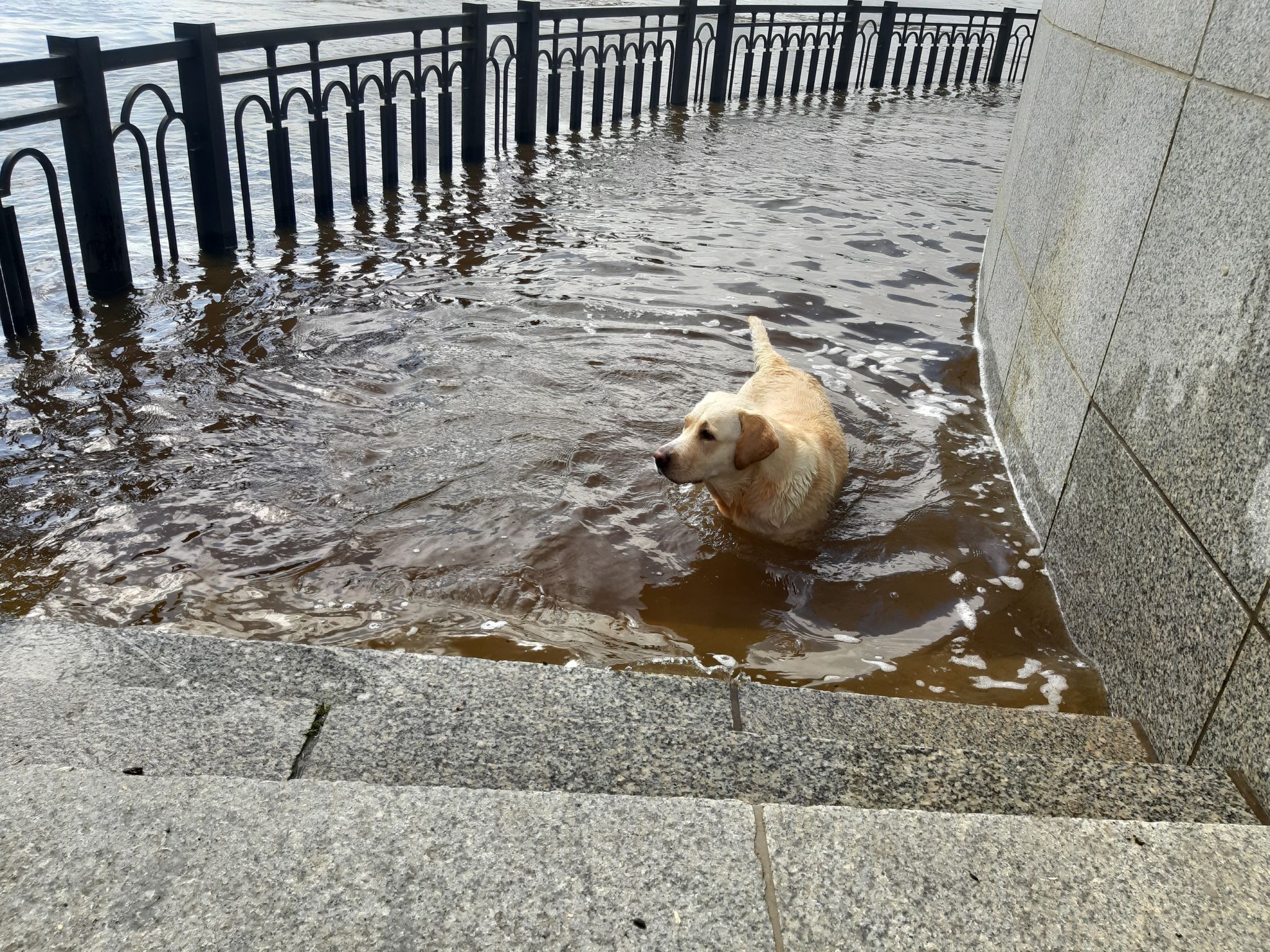 Беспрецедентное наводнение ожидается в Оренбурге