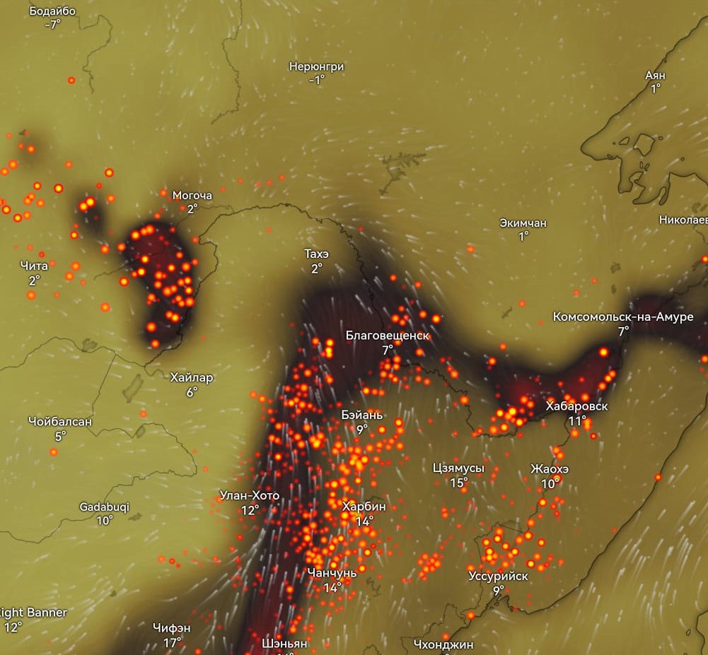 Дым от пожаров в Китае затягивает Амурскую область