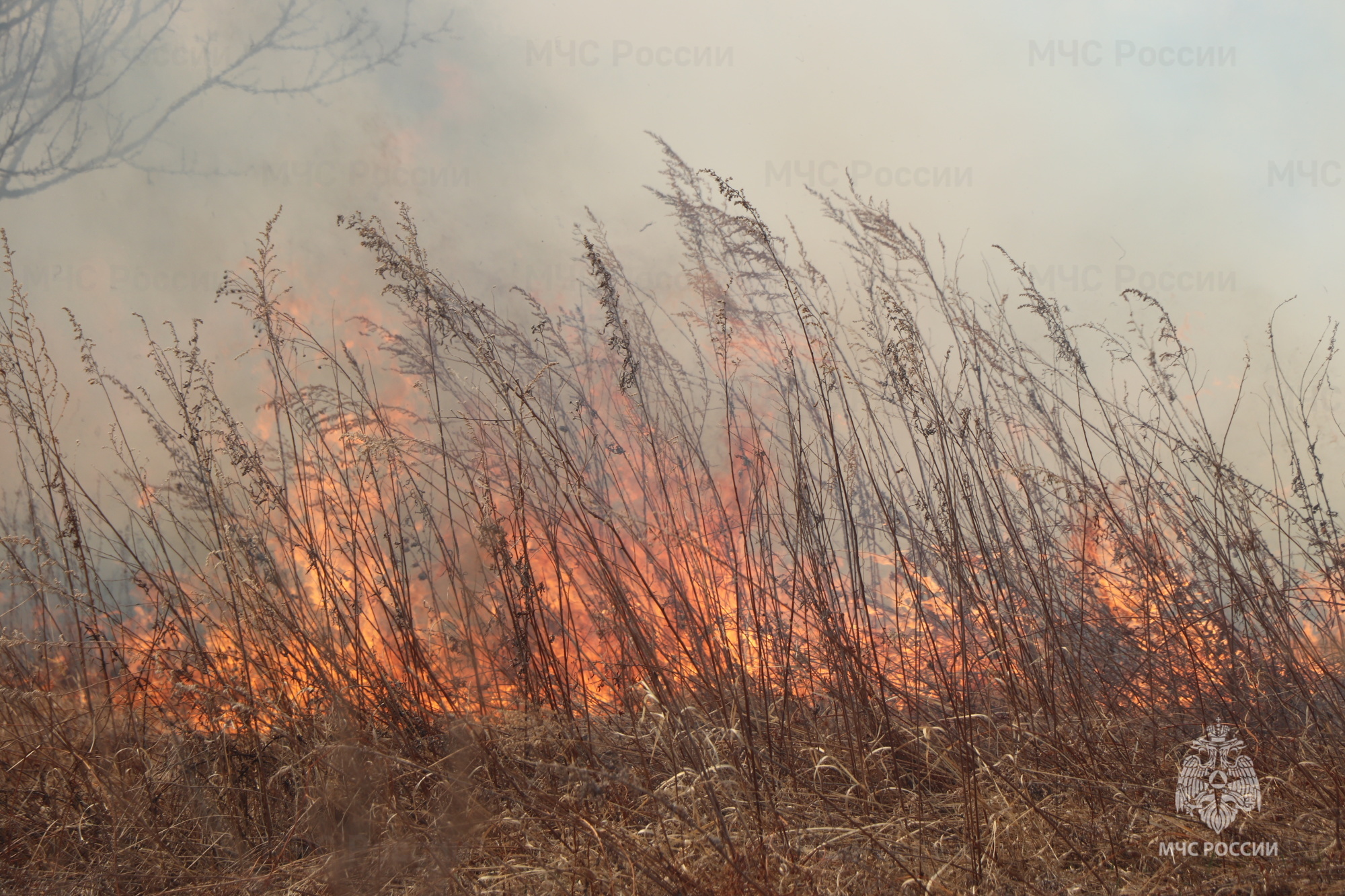 Крупные природные пожары потушили в Амурской области