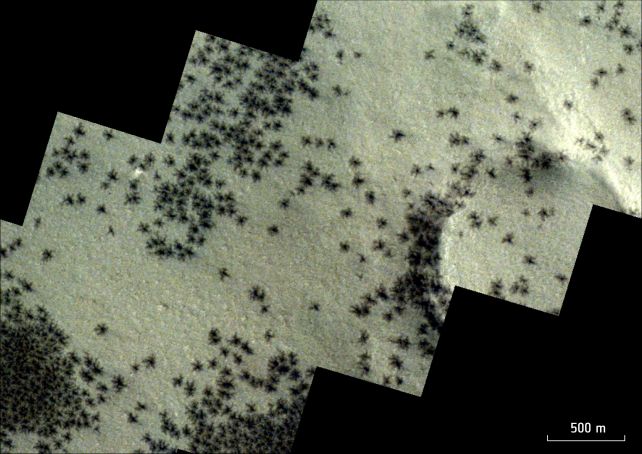 Жутких пауков нашли в "городе инков" на Марсе