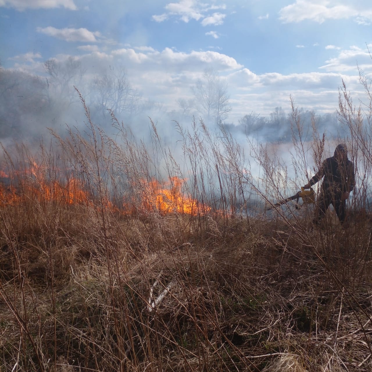 Природные пожары тушат на севере Амурской области