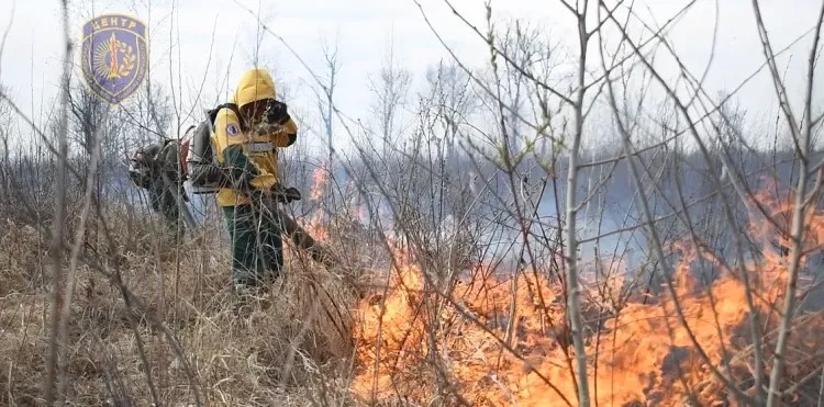 Пожар на площади более 200 гектаров потушили в Приамурье