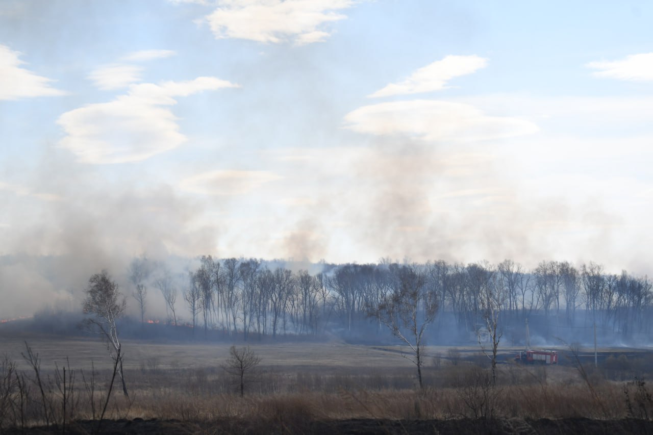 5 млн рублей могут потребовать с виновника пожара в заповеднике Амурской области