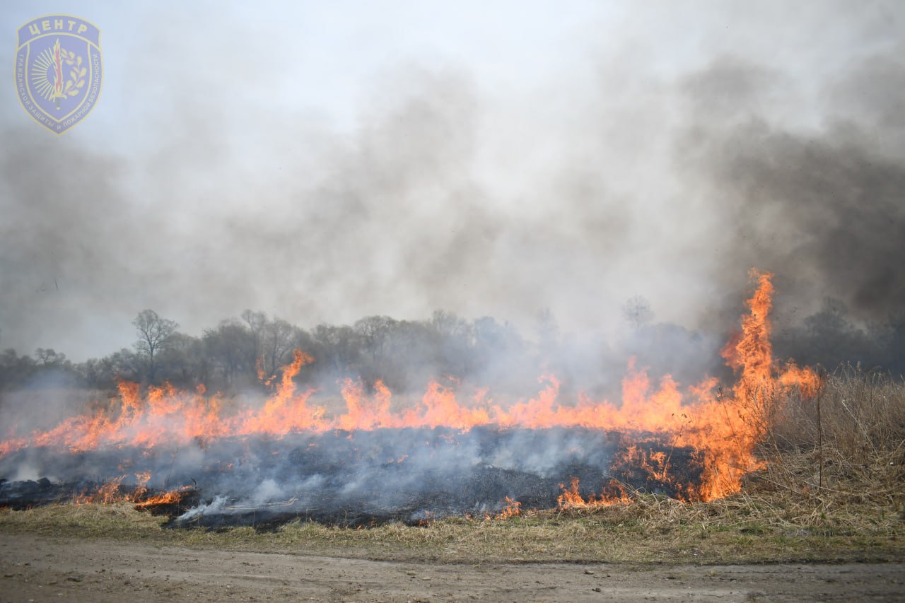 Неделю останавливали пожар в Хинганском заповеднике после выходки амурчанина