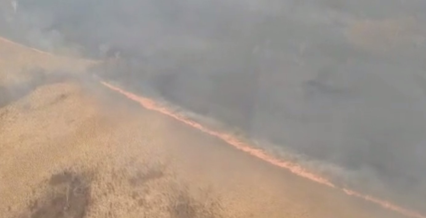 Бушевавший 10 дней пожар в Хинганском заповеднике в Приамурье потушили