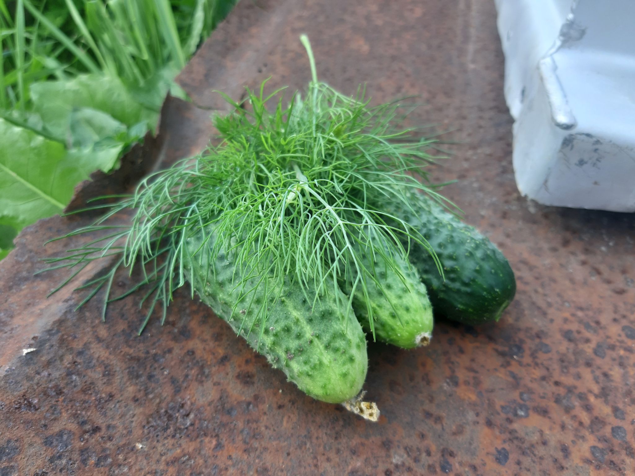 Традиционная рубаха из конопляной ткани