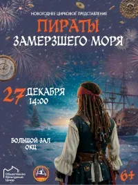 Цирковое шоу «Пираты Замерзшего моря» (6+)