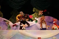 По щучьему велению (0+)