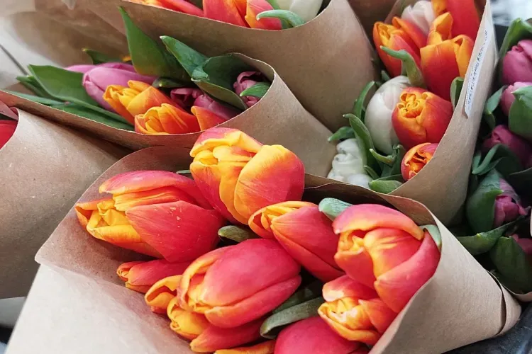 Букет с семечками: флорист рассказала о необычных заказах и работе накануне 8 Марта