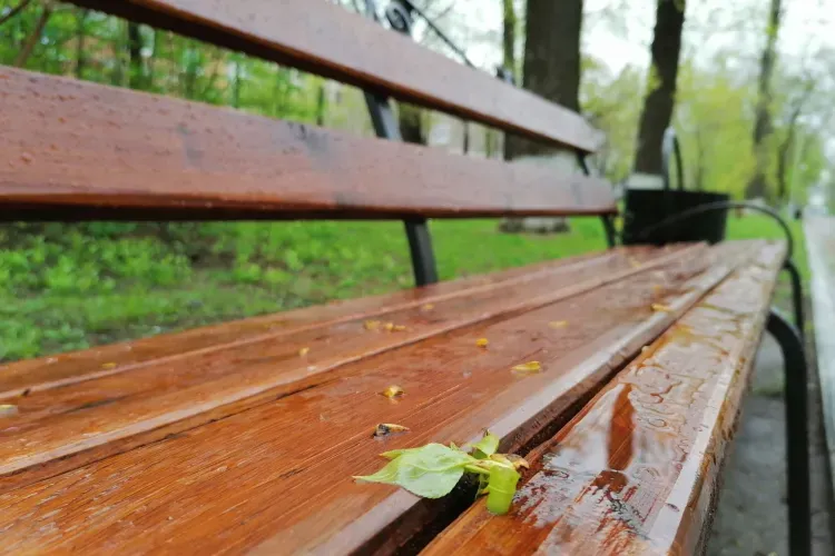 Майские праздники в Приамурье не порадуют теплом, будет холодно и ветрено