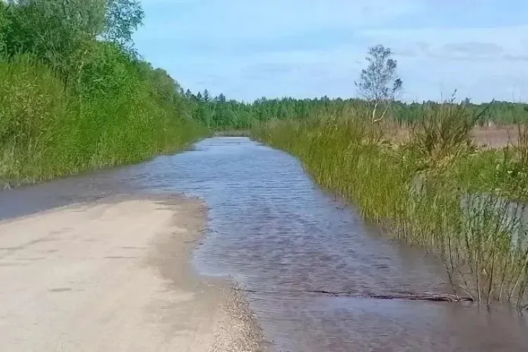 Дорогу к амурскому селу затопило из-за разлива реки Уркан