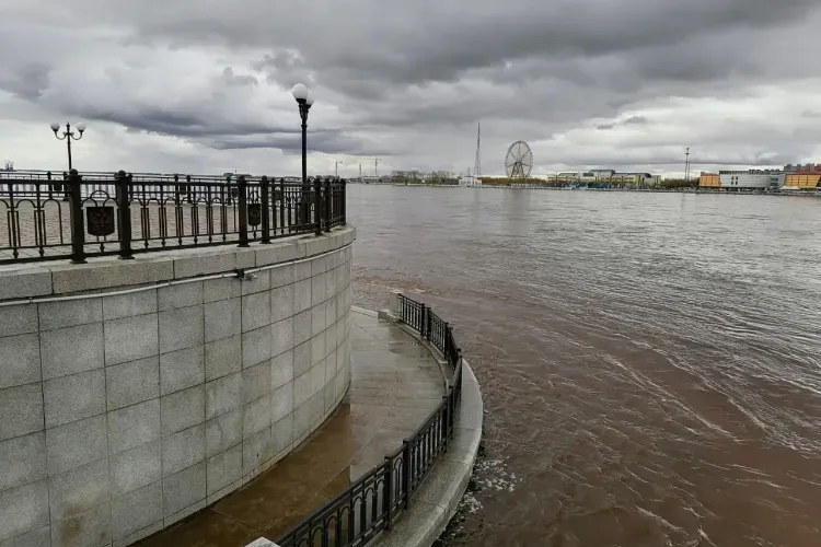 Уровень воды может подняться на метр на реках Амурской области