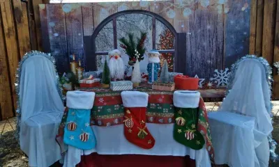 Выставки, спектакли, животные и катки: праздничный отдых оффлайн в Приамурье 