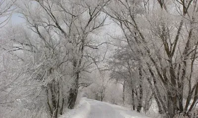 Степанов день по народному календарю отмечают 9 января. В этот день начинали ждать морозов