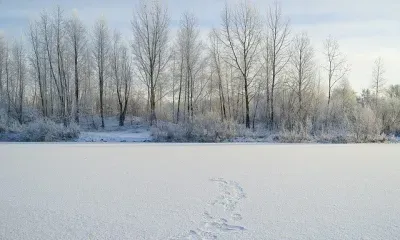 Ивана-бражника отмечают по народному календарю 20 января