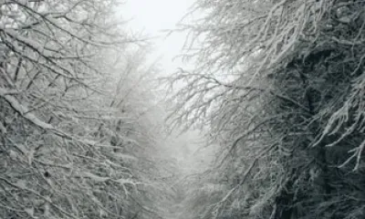 Антона-перезимника по народному календарю отмечают 30 января