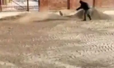 В Чигирях рядом с детским садом разлилось содержимое септика