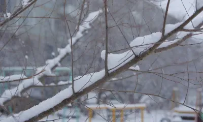 Безветренно, возможен снег: погода 10 февраля в Благовещенске